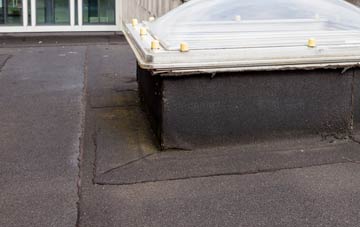 disadvantages of Canadia flat roofs